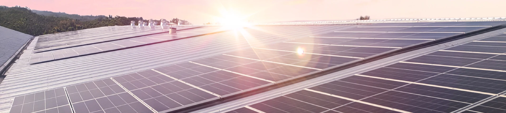 Rows of solar panels installed on a metal rooftop reflect sunlight during sunset, with trees visible in the background.